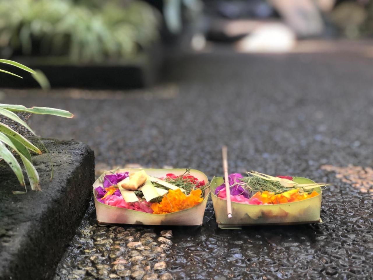 Depa House Hotel Ubud Exterior foto